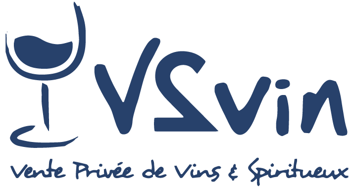 V2vin_logo